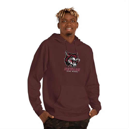 Team Spirit Hoodie